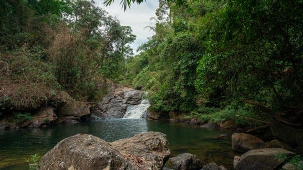 Ton Kloi Waterfall in Khao Sok National Park in Thailand