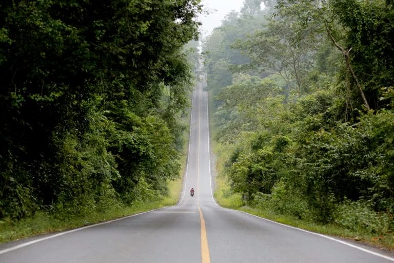 Road in Khao Yai National Park-Thailand