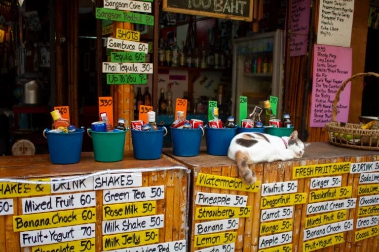 buckets of cocktail drinks kits, bottled drinks and cans, drink menus with prices lables, a white-yellow gray cat sleeping in front of the buckets in Phi Phi Island-Thailand