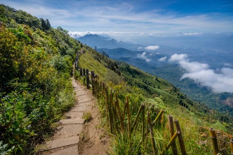 Kew Mae Pan Nature Trail in Doi Inthanon National Park-Thailand