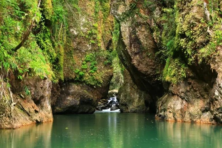 A lake in between big rocks with plants on the rocks.