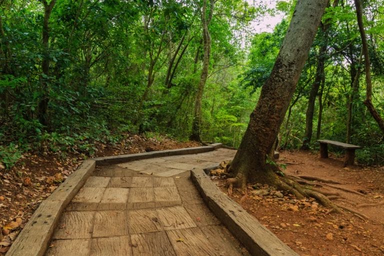 Trail in Erawan National Park