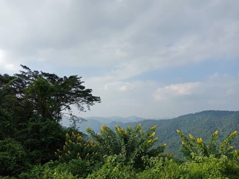 View from Yod Khao Khieo in Doi Inthanon National Park-Thailand