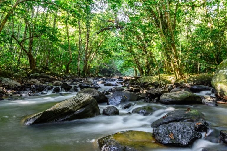 Pha Kluai Mai Waterfall in Khao Yai National Park.