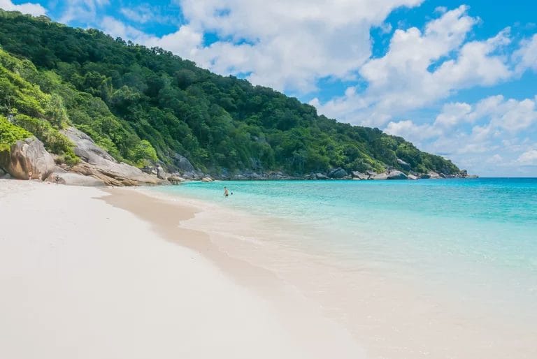 A large green island by the sandy beach- Similan Island- Thailand