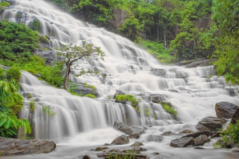 Large waterfall in between green plants and there are a group of rocks on the bottom right.