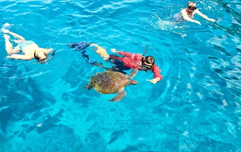 Snorkeling in Similan Island-Thailand