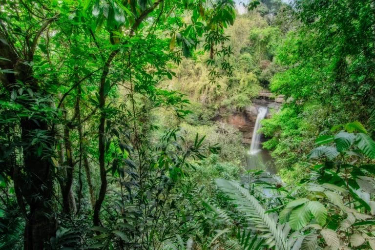 The Haew Suwat Waterfall in Khao Yai National Park, Thailand